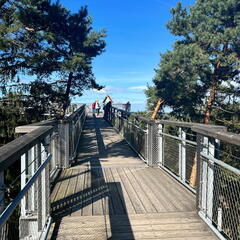 23-09-14 11-16-16 6859